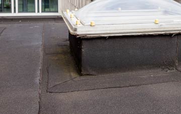 disadvantages of Lower Bodham flat roofs